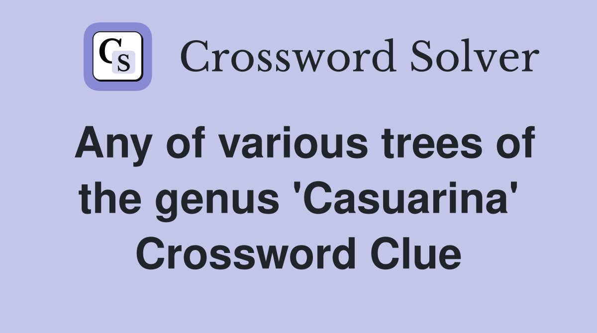 Any of various trees of the genus 'Casuarina' Crossword Clue Answers